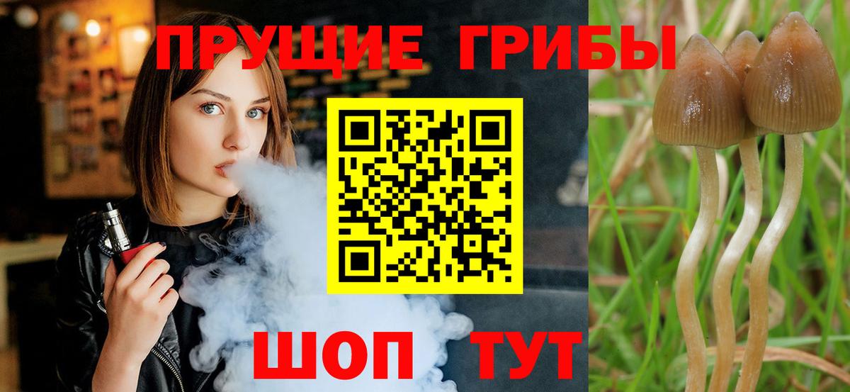 Егорьевск  Галлюциногенные грибы ЛСД  Галлюциногенные грибы мицелий  Вход с VPN 